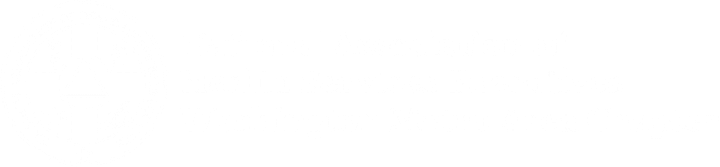 National Association of Health Services Executives, Washington Metro Area Chapter